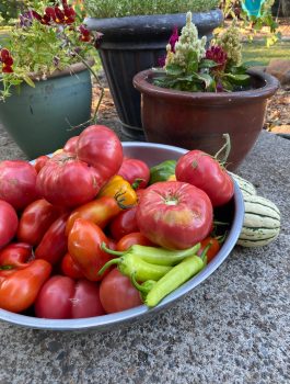 Tomatoes