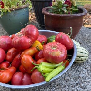 Tomatoes