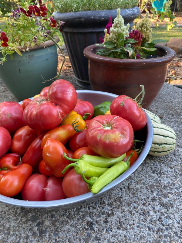 Tomatoes